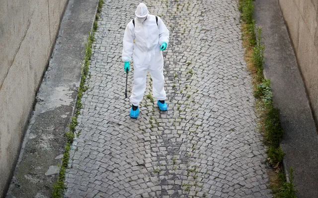 Operatore della disinfestazione durante un trattamento professionale