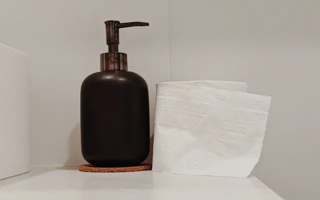 Dispenser professionale di sapone e carta in un bagno aziendale