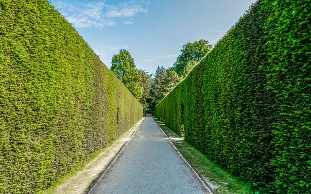 Giardiniere Cooprimavera: manutenzione di un giardino con siepi curate nei Castelli Romani